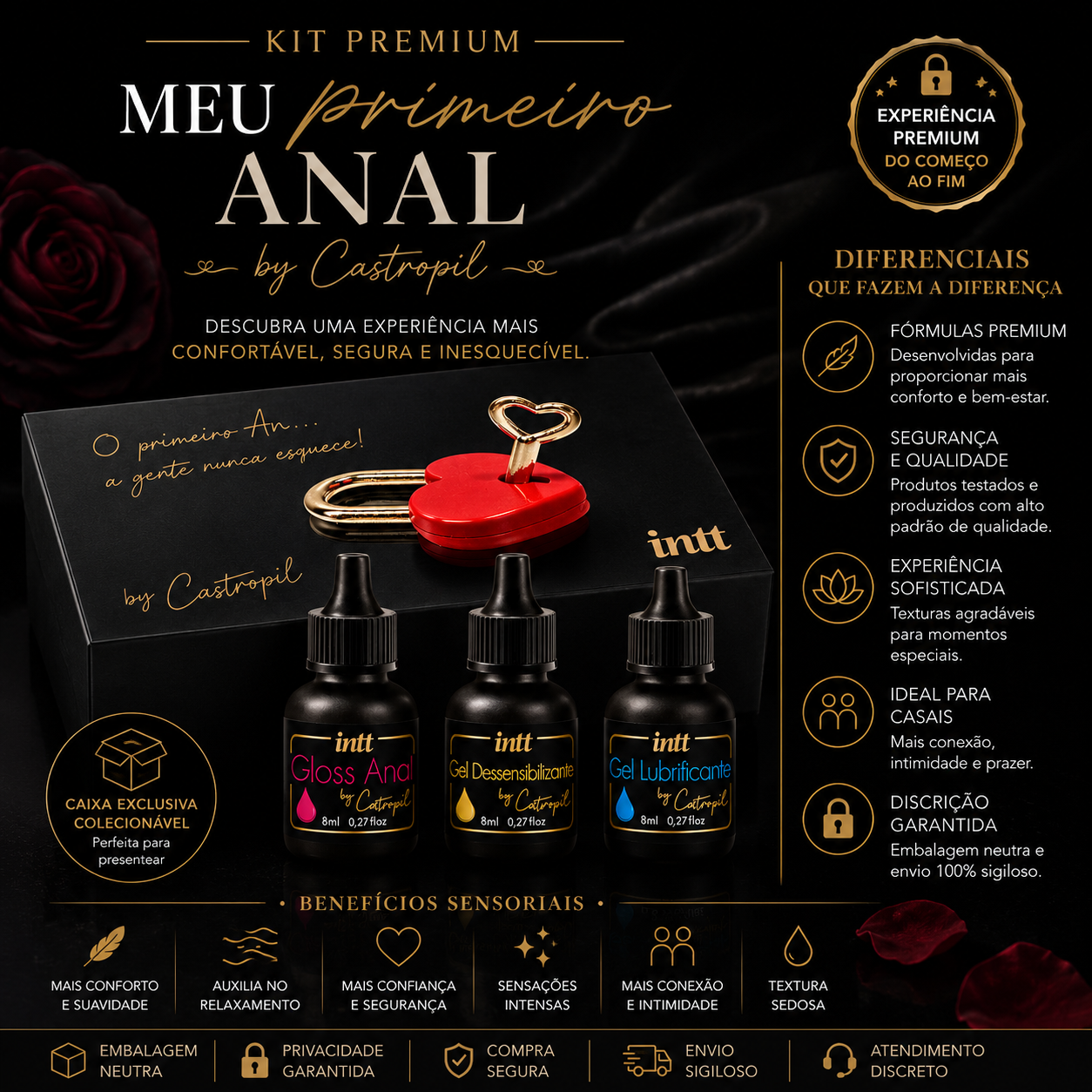 Meu Primeiro Anal