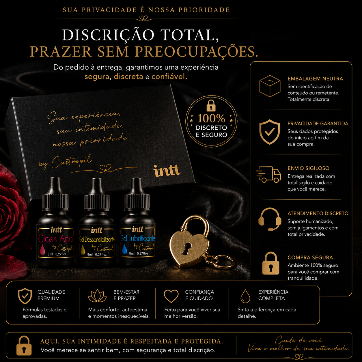 Meu Primeiro Anal